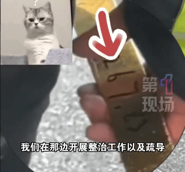 巴西甲组联赛_深圳一市民捡到2267.83克巨型金条巴西甲组联赛，警方介入找到失主，网友：巧克力我都不敢买这么大的