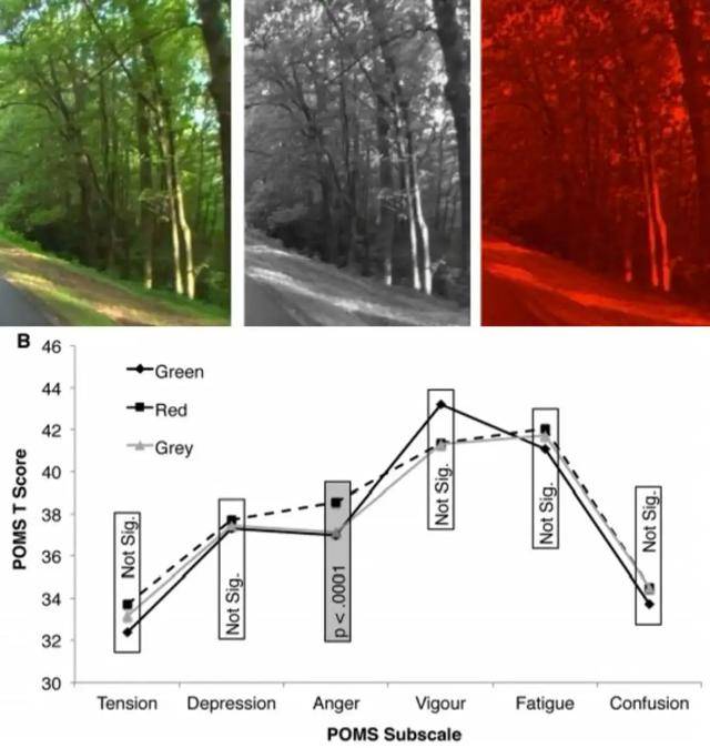 皇冠信用網怎么开通
_年代剧的墙皇冠信用網怎么开通
,为什么都是上白下绿?